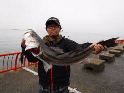 神戸市立平磯海づり公園　スズキ　記録賞！　85㎝