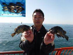 平磯海釣り公園　ウキ釣りでメバル15.5～25.5㎝　12尾