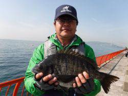 神戸市立平磯海づり公園　ウキ釣りでチヌ
