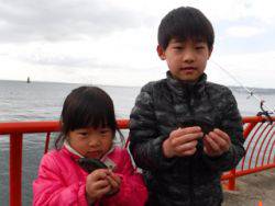 神戸市立平磯海づり公園　ウキ釣りでメバル