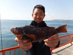 平磯海釣り公園　メタルジグでアイナメ26c…