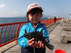 神戸市立平磯海づり公園　サビキでメバル