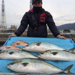 和歌山マリーナシティ海洋釣り堀 カツオをエサにブリキャッチ♪