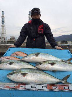 和歌山マリーナシティ海洋釣り堀 カツオをエサにブリキャッチ♪