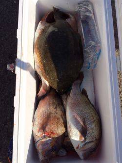 マリーナシティ海洋釣り堀　マダイ＆ヒラメの…