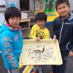 和歌山マリーナシティ海釣り公園　イワシ