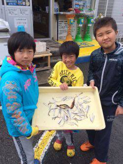 和歌山マリーナシティ海釣り公園　イワシ