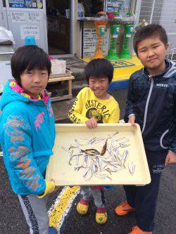 和歌山マリーナシティ海釣り公園　イワシ