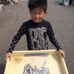 和歌山マリーナシティ海釣り公園　サビキでイワシ