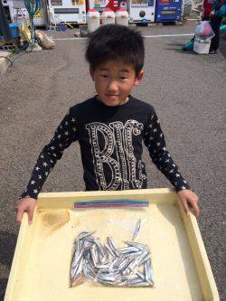 和歌山マリーナシティ海釣り公園　サビキでイ…