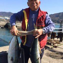 マリーナシティ海釣り公園　ブリ・メジロ・マダイの釣果