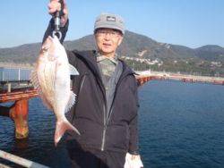 神戸市立須磨海づり公園 シラサエビでマダイ…