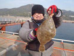 神戸市立須磨海づり公園 マムシでメイタガレイ29.5cm！