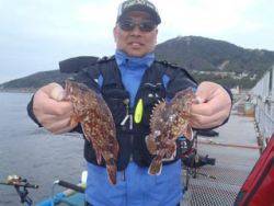 神戸市立須磨海づり公園 シラサでナイスサイズのガシラ