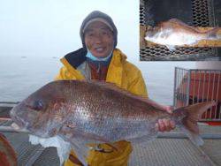 神戸市立須磨海づり公園 記録賞のマダイ74…