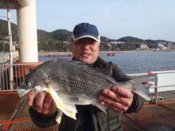 須磨海釣り公園　キビレ45.5cmの釣果