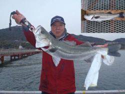 神戸市立須磨海づり公園　スズキ　記録賞！　75.8cm