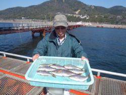 神戸市立須磨海づり公園 落とし込みでウミタ…