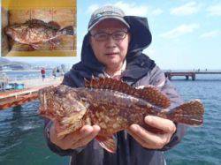 神戸市立須磨海づり公園 ガシラ 記録賞 30 0cm 兵庫県 瀬戸内海側 神戸市立須磨海づり公園 カゴ釣り カサゴ ガシラ 陸っぱり 釣り 魚釣り 釣果情報サイト カンパリ