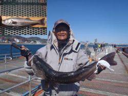 神戸市立須磨海づり公園　スズキ　記録賞　82.7cm