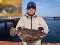 神戸市立須磨海づり公園 青虫でカレイ41.2cm！