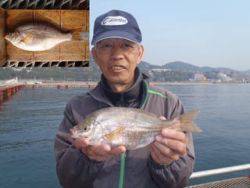 神戸市立須磨海づり公園　ウミタナゴ　記録賞…