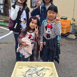 マリーナシティ海釣り公園 サビキで豆イワシの釣果