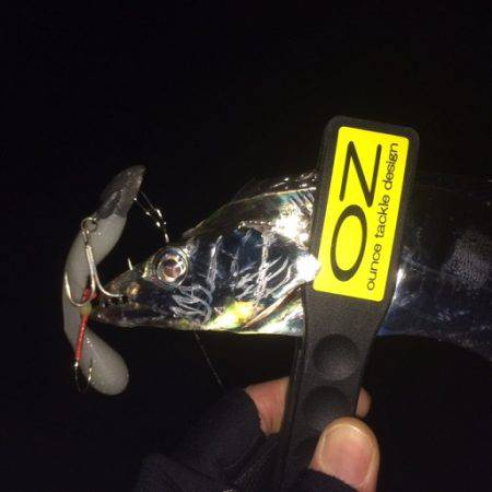 春タチ・ゲット！