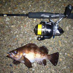 夜釣りに誘われて