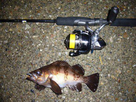 夜釣りに誘われて