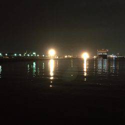 まさかのアジが…(^^)