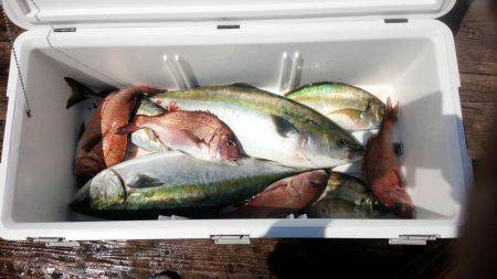 海上釣り堀紀州