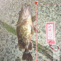 栗田湾辺りで釣りをする。