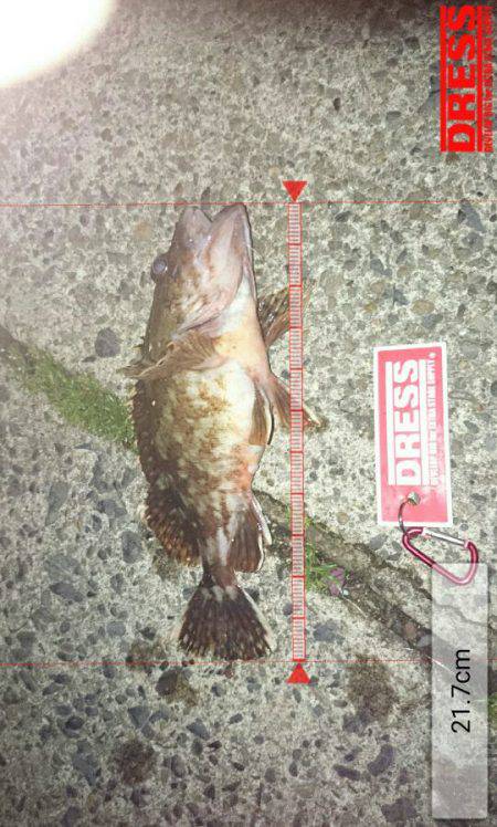 栗田湾辺りで釣りをする。