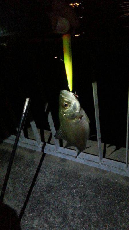 今シーズン初バチゲーム