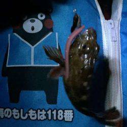 久々に下の娘とライトゲーム