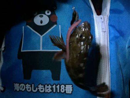 久々に下の娘とライトゲーム