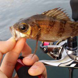 デイメバリング