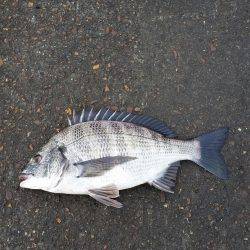 荒れ後に期待で！