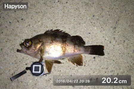 お久しぶりの20up!!