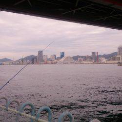 ポーアイ北公園でキス