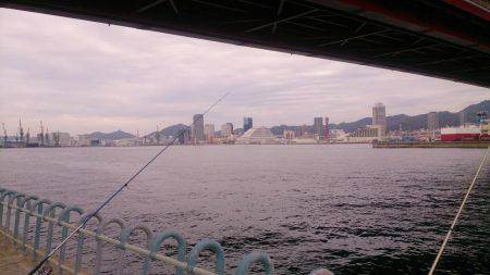 ポーアイ北公園でキス