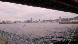 ポーアイ北公園でキス