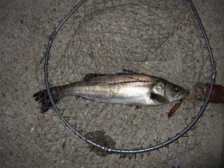 サイズダウン・・・