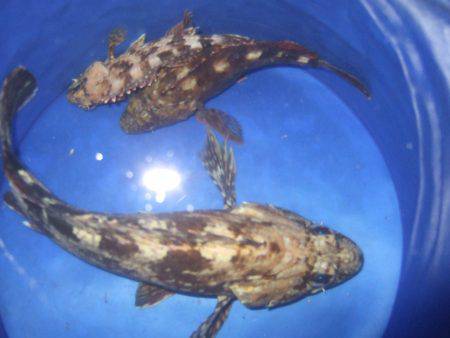 ２時間で風終了。