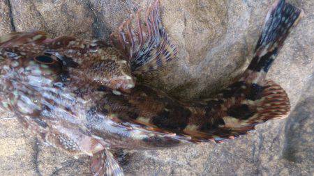 まさにここはFGP(ﾌｸﾞﾊﾟﾗﾀﾞｲｽ)…