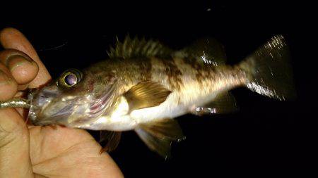 懲りもせず(笑)