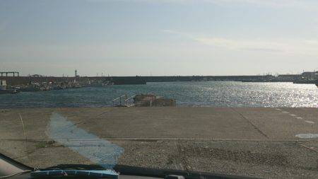 海上釣り堀前哨戦、片口鰯狙う