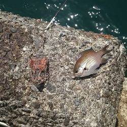 むっちゃ❗いい天気！