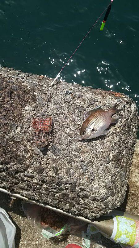 むっちゃ❗いい天気！